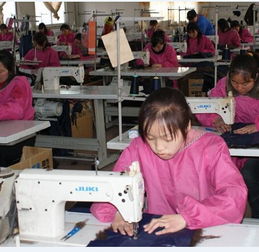 服装加工 价格、批发与供应全解析